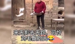 爆料生姜的视频,养生佳品背后的神奇功效